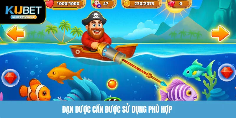 Đạn dược cần được sử dụng phù hợp 
